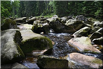 230708-peso-Vydra-0158.JPG