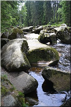 230708-peso-Vydra-0159.JPG