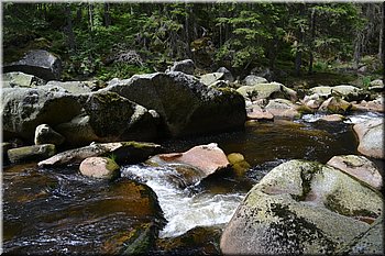 230708-peso-Vydra-0160.JPG