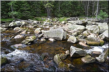 230708-peso-Vydra-0164.JPG