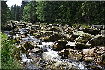 230708-peso-Vydra-0167.JPG
