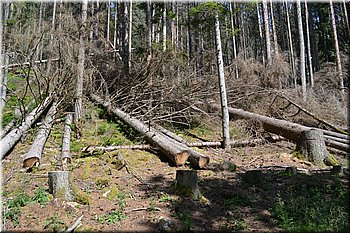 230708-peso-Vydra-0174.JPG