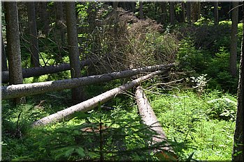 230708-peso-Vydra-0182.JPG