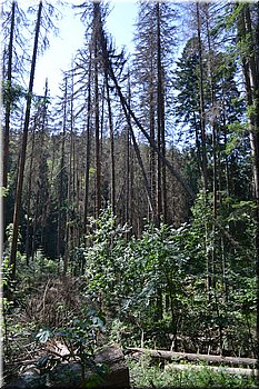 230708-peso-Vydra-0191.JPG