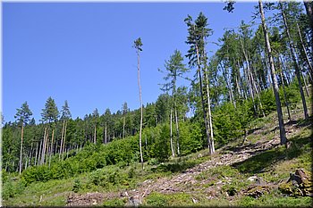 230708-peso-Vydra-0193.JPG