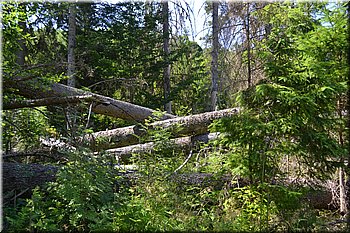230708-peso-Vydra-0195.JPG