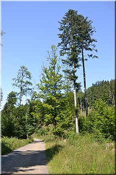 230708-peso-Vydra-0202.JPG