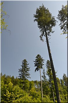 230708-peso-Vydra-0205.JPG