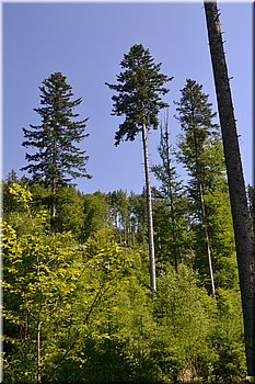 230708-peso-Vydra-0206.JPG