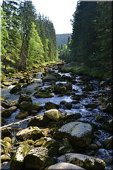 230708-peso-Vydra-0208.JPG