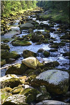 230708-peso-Vydra-0209.JPG