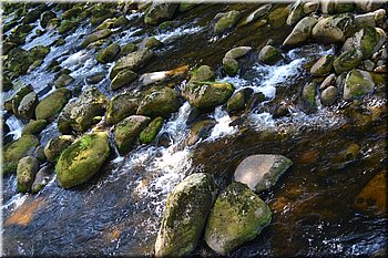 230708-peso-Vydra-0213.JPG