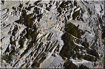 230708-peso-Vydra-0218.JPG