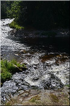 230708-peso-Vydra-0228.JPG