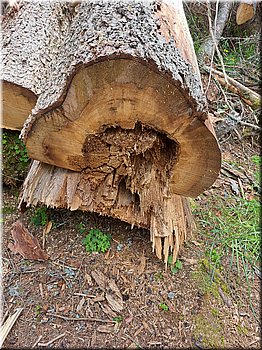 230708-peso-Vydra-0333.jpg