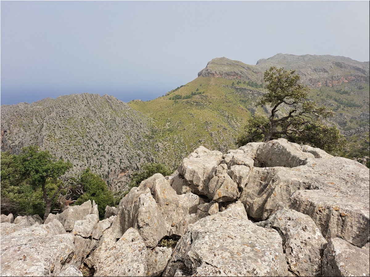 230904-Mallorca-123241.jpg
