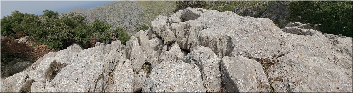 230904-Mallorca-123338.jpg