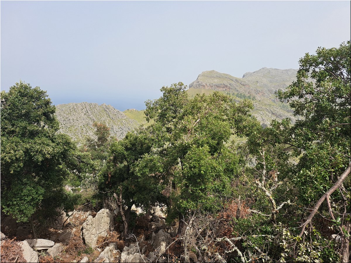 230904-Mallorca-124449.jpg