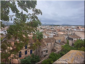 230903-Mallorca-115536.jpg