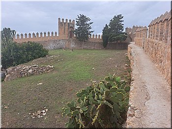 230903-Mallorca-120841.jpg