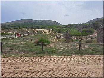 230903-Mallorca-130914.jpg