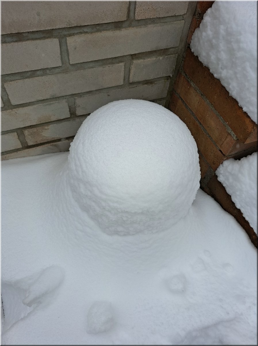 231202-cepiceManovka19koulekamenna.jpg