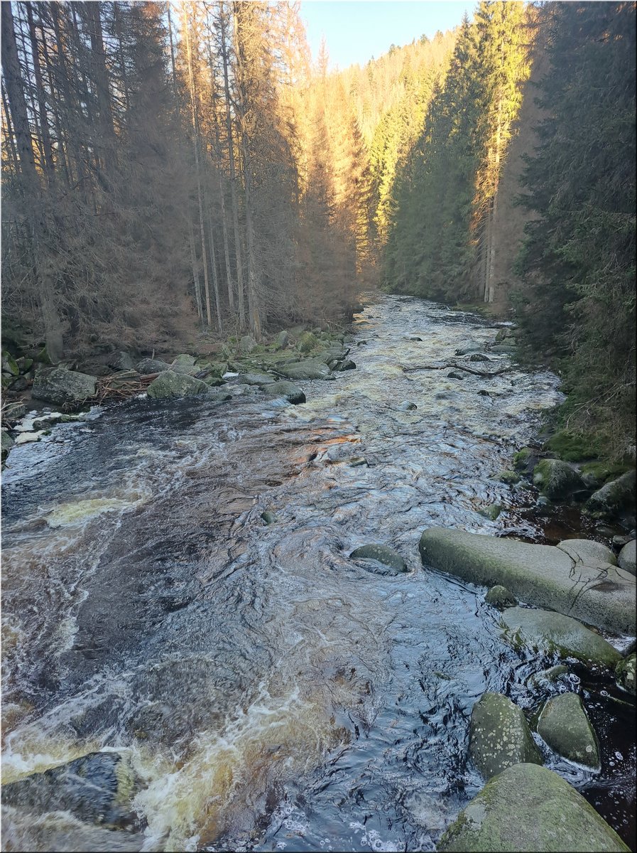 240127-KlostermannuvMost-151007.jpg