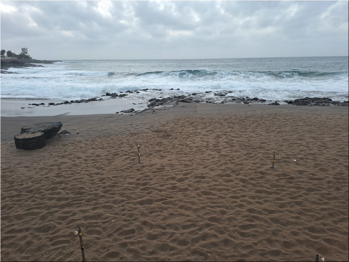1-240217-Lanzarote1-073225_Brc.jpg
