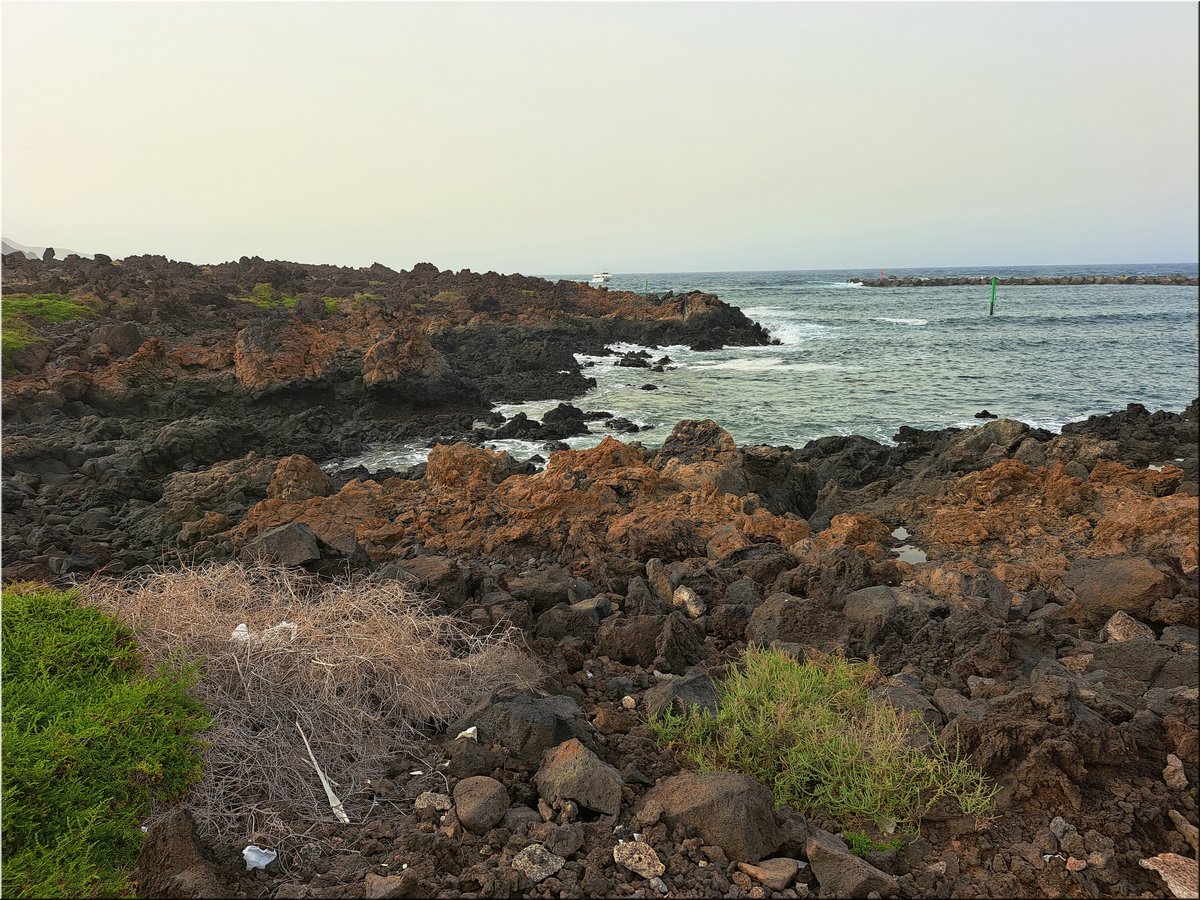 1-240217-Lanzarote1-172619_Brc.jpg