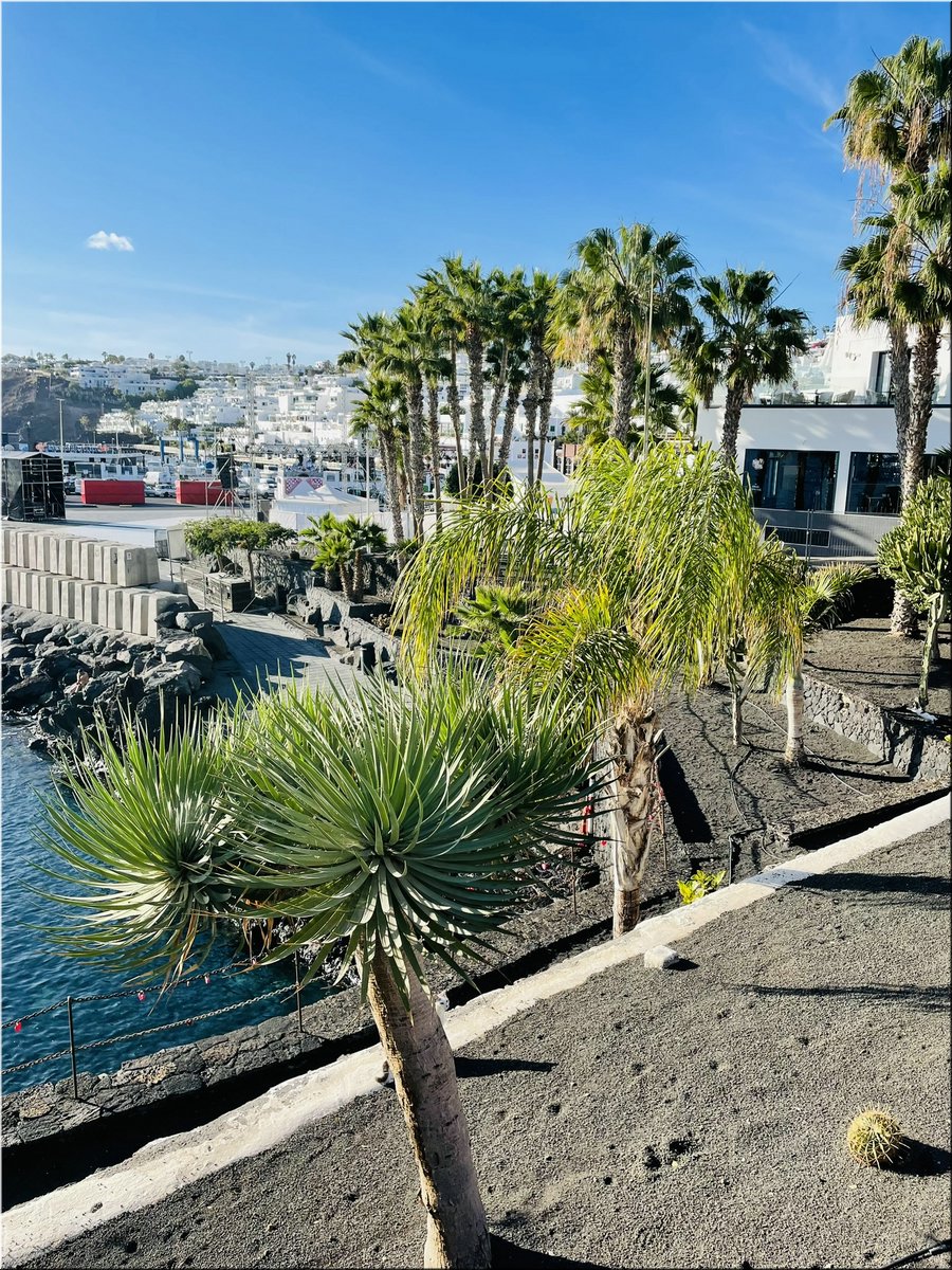 1-240217-Lanzarote1-5503_Tauc.JPEG