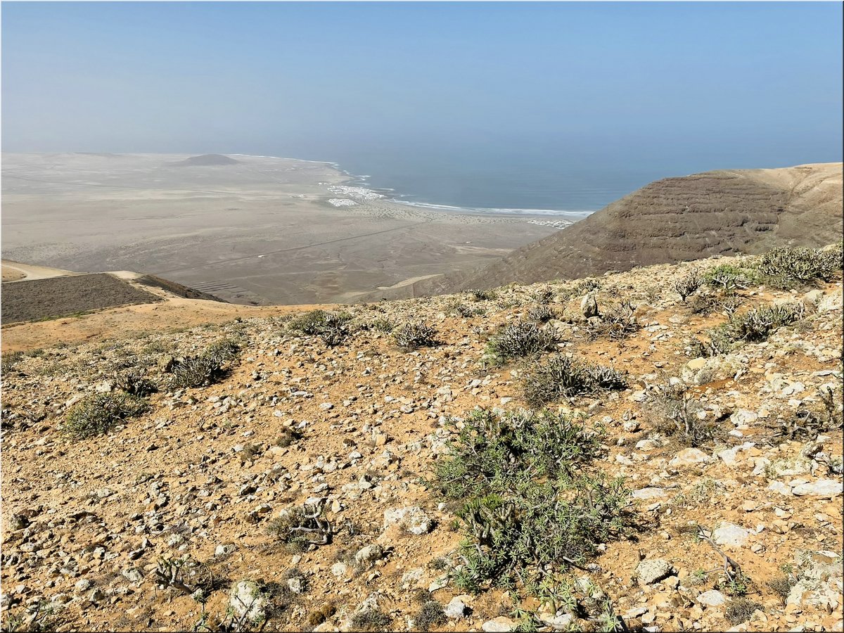 1-240217-Lanzarote1-5529_Tauc.JPEG