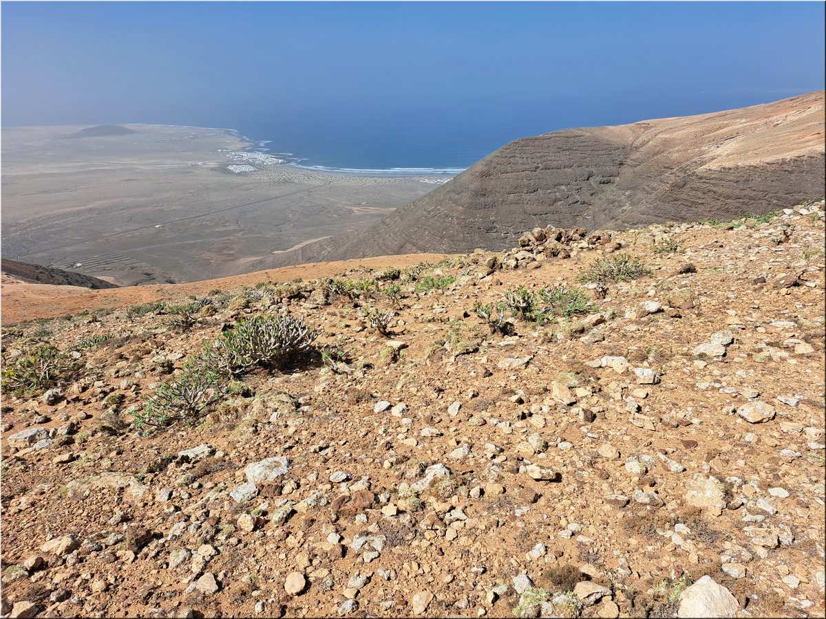 1-240219-Lanzarote1-141643_Brc.jpg