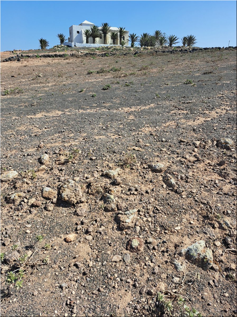 1-240219-Lanzarote1-143343_Brc.jpg