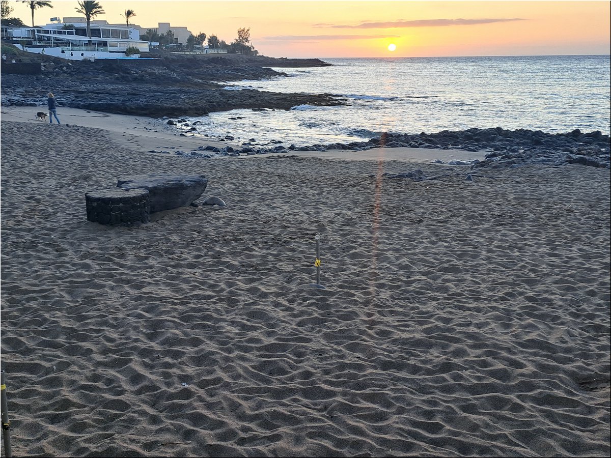 1-240221-Lanzarote1-073245_Brc.jpg
