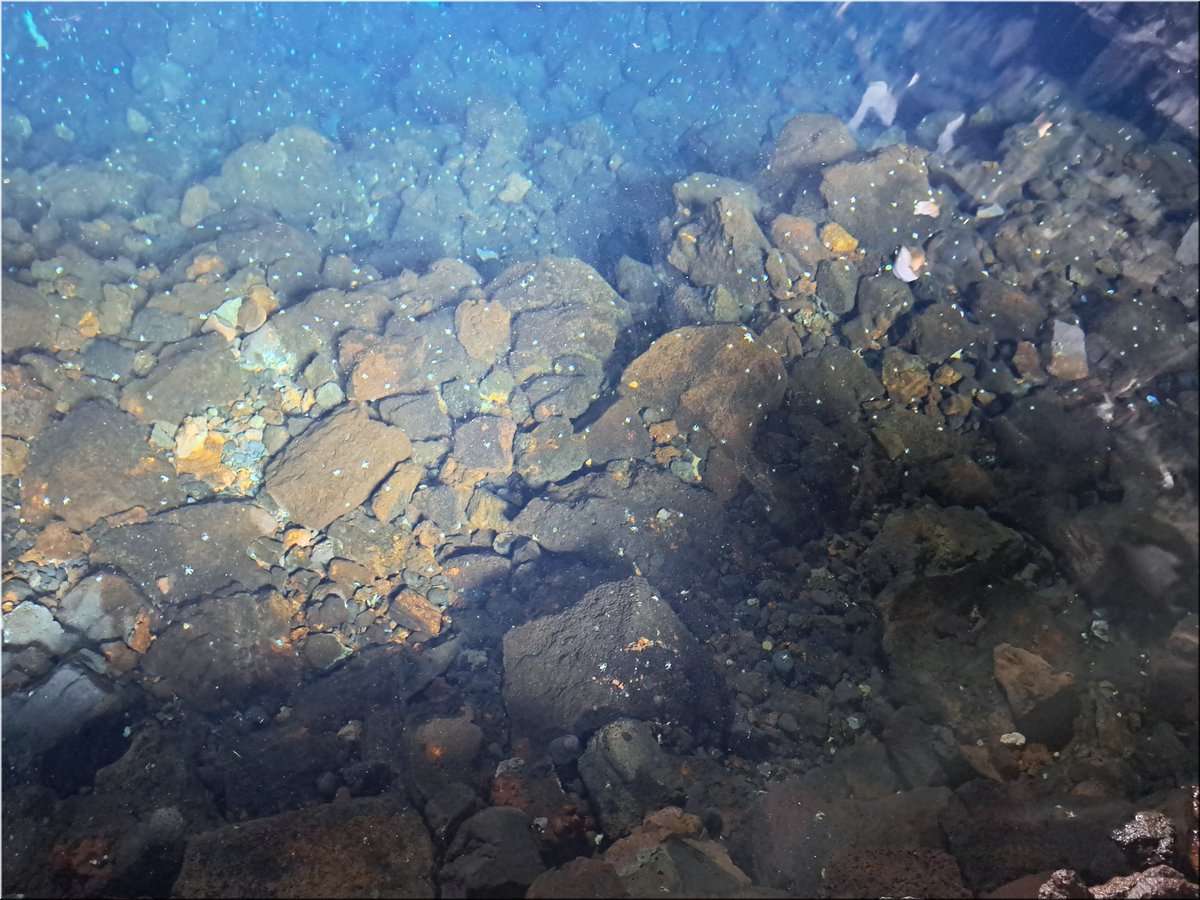 2-240220-Lanzarote2-152539_Brc.jpg