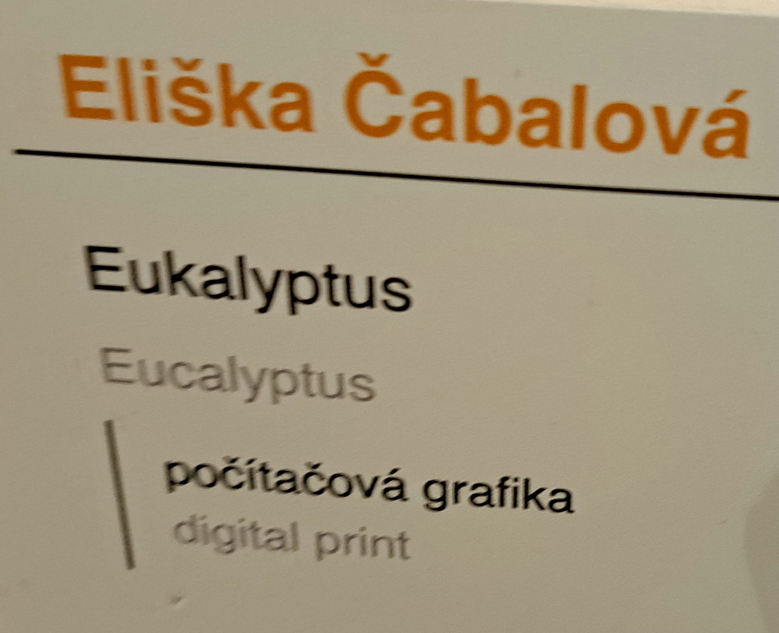 240410-grafiky-Hollar-cenaBoudnika-185037.jpg