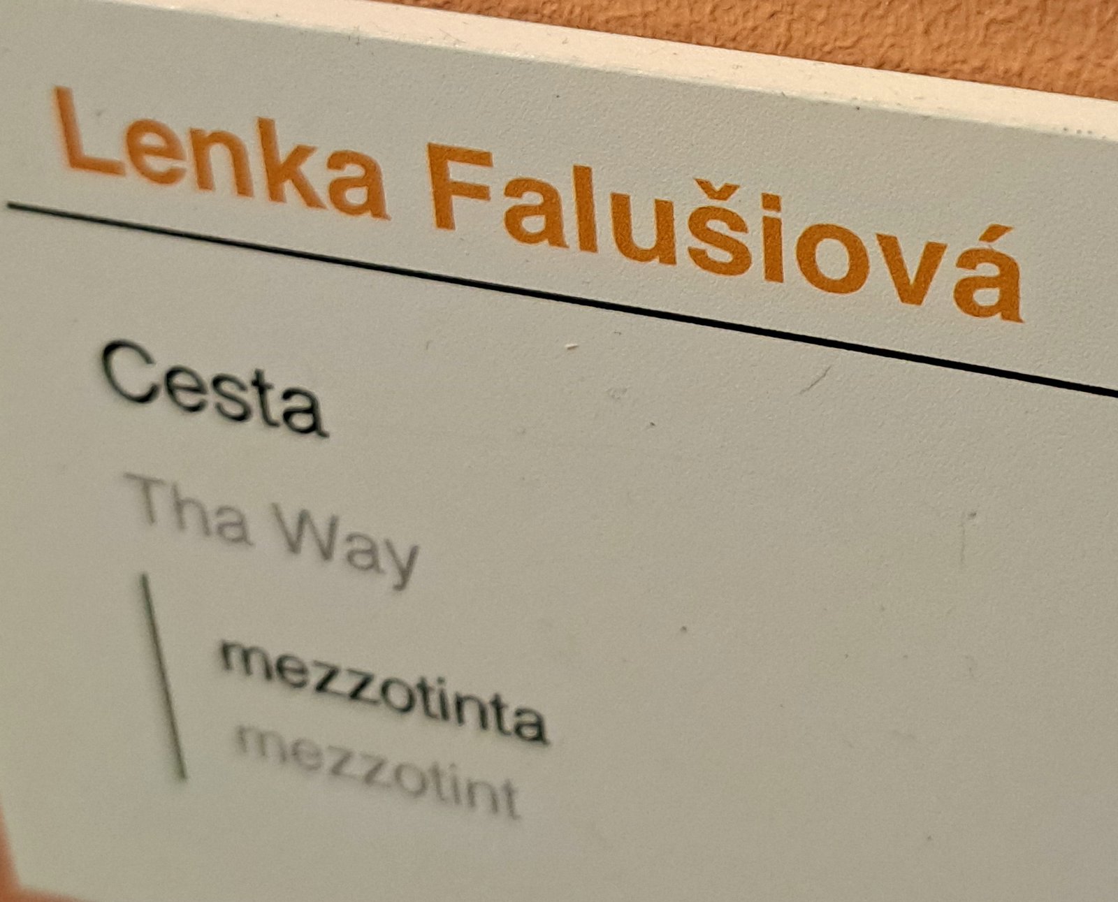 240410-grafiky-Hollar-cenaBoudnika-190439.jpg