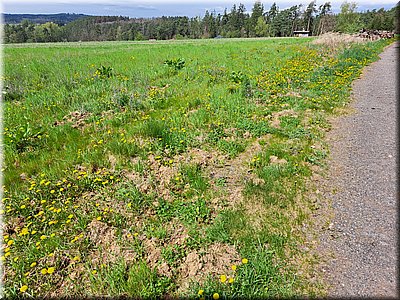 250421-polepredchatou4.jpg
