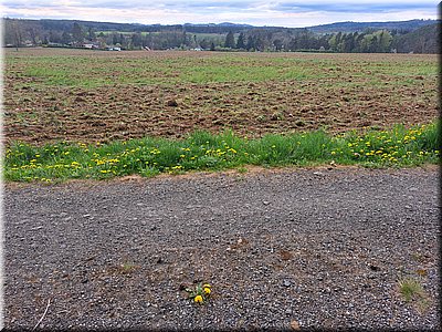 250421-polepredchatou8.jpg