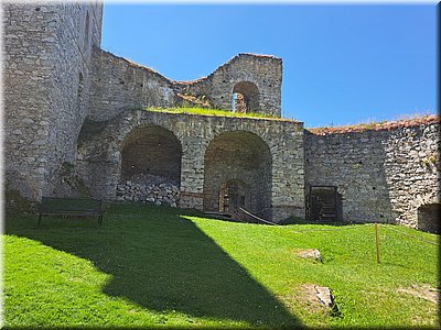 250621-Rabi-131329.jpg