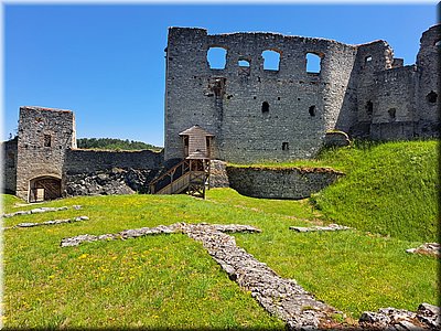 250621-Rabi-131343.jpg