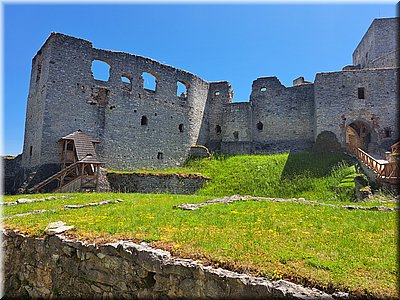250621-Rabi-131647.jpg