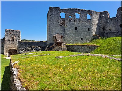 250621-Rabi-131657.jpg