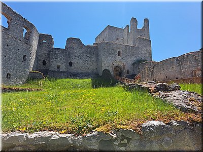 250621-Rabi-131741.jpg