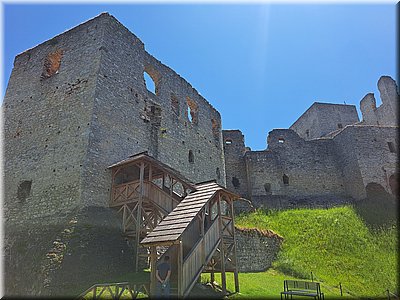 250621-Rabi-131806.jpg