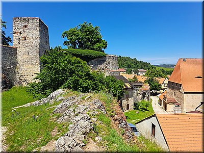 250621-Rabi-132510.jpg