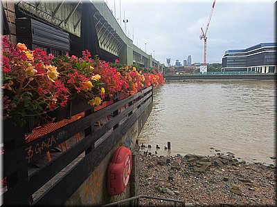 250726-Londyn-090626behaniporanu_Ad.jpg