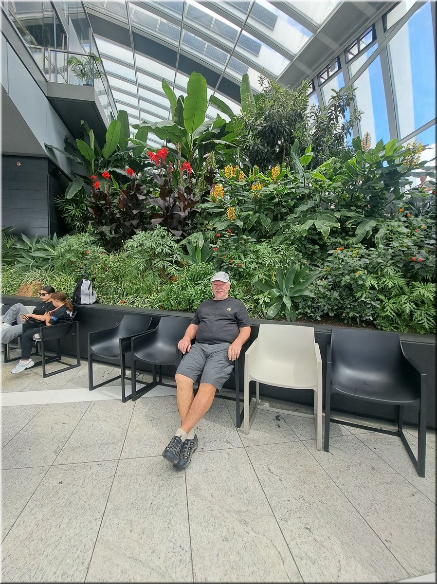 250728-Londyn-113235SkyGarden_Ad.jpg