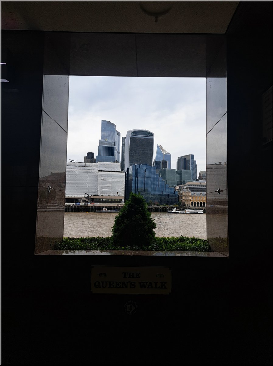 250729-Londyn-085108_Ad.jpg