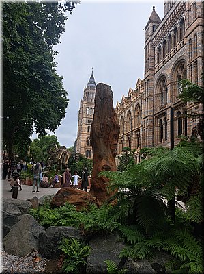 250729-Londyn-141159_Ad.jpg